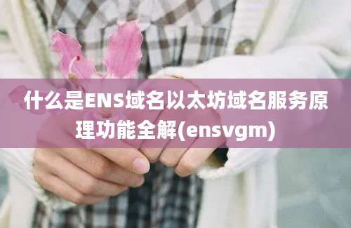 什么是ENS域名以太坊域名服务原理功能全解(ensvgm)