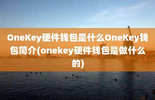 OneKey硬件钱包是什么OneKey钱包简介(onekey硬件钱包是做什么的)