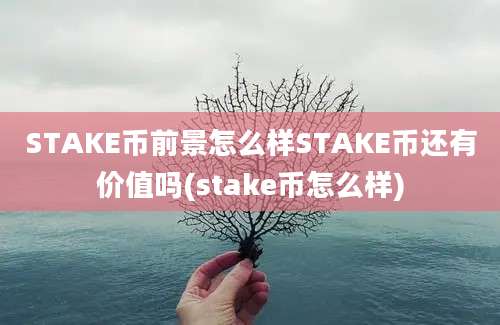 STAKE币前景怎么样STAKE币还有价值吗(stake币怎么样)