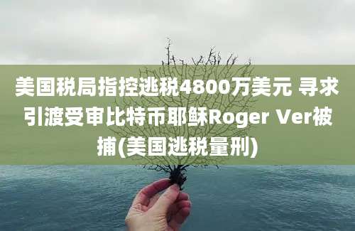 美国税局指控逃税4800万美元 寻求引渡受审比特币耶稣Roger Ver被捕(美国逃税量刑)