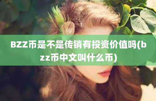 BZZ币是不是传销有投资价值吗(bzz币中文叫什么币)