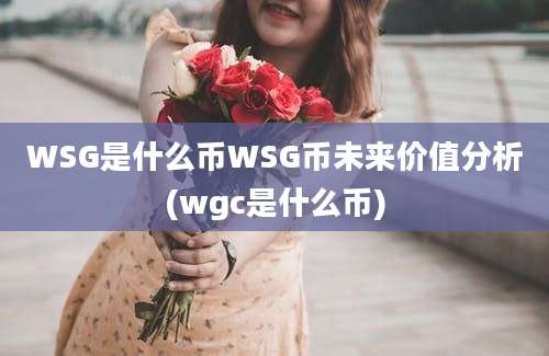 WSG是什么币WSG币未来价值分析(wgc是什么币)