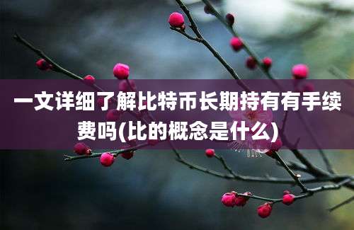 一文详细了解比特币长期持有有手续费吗(比的概念是什么)