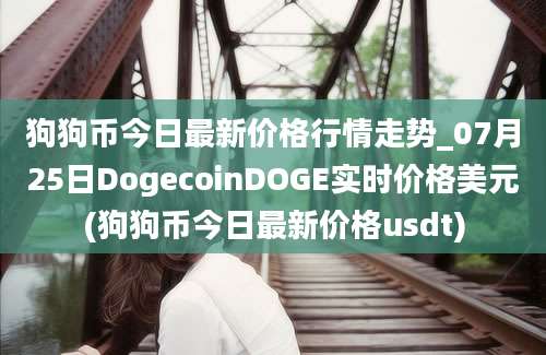 狗狗币今日最新价格行情走势_07月25日DogecoinDOGE实时价格美元(狗狗币今日最新价格usdt)