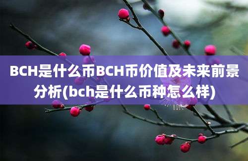 BCH是什么币BCH币价值及未来前景分析(bch是什么币种怎么样)