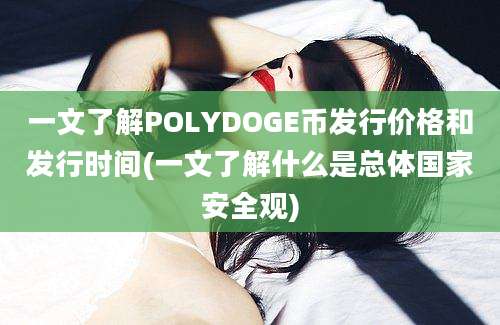 一文了解POLYDOGE币发行价格和发行时间(一文了解什么是总体国家安全观)