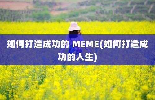 如何打造成功的 MEME(如何打造成功的人生)