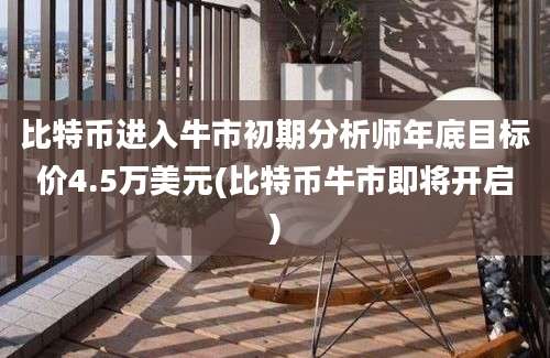 比特币进入牛市初期分析师年底目标价4.5万美元(比特币牛市即将开启)