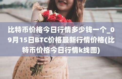 比特币价格今日行情多少钱一个_09月15日BTC价格最新行情价格(比特币价格今日行情k线图)