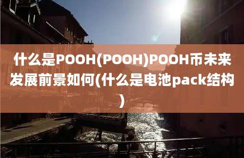 什么是POOH(POOH)POOH币未来发展前景如何(什么是电池pack结构)