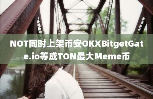 NOT同时上架币安OKXBitgetGate.io等成TON最大Meme币