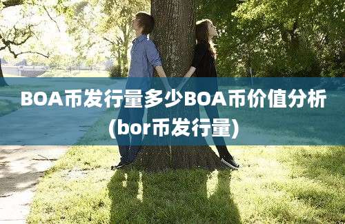 BOA币发行量多少BOA币价值分析(bor币发行量)