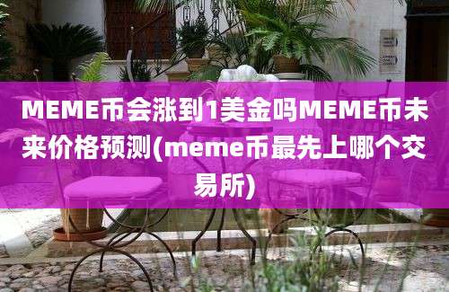 MEME币会涨到1美金吗MEME币未来价格预测(meme币最先上哪个交易所)