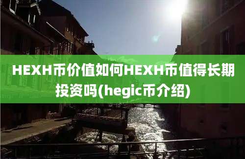 HEXH币价值如何HEXH币值得长期投资吗(hegic币介绍)