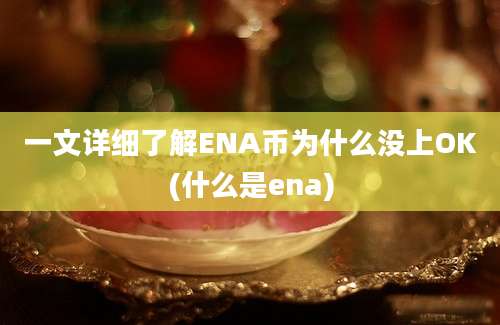 一文详细了解ENA币为什么没上OK(什么是ena)