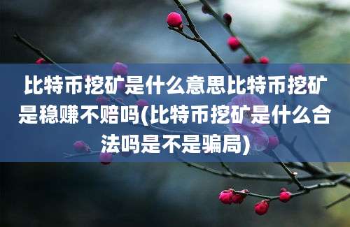 比特币挖矿是什么意思比特币挖矿是稳赚不赔吗(比特币挖矿是什么合法吗是不是骗局)