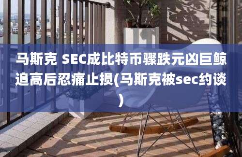 马斯克 SEC成比特币骤跌元凶巨鲸追高后忍痛止损(马斯克被sec约谈)