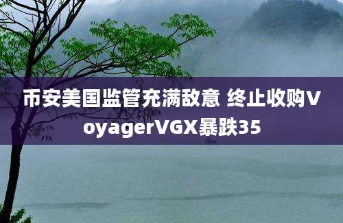 币安美国监管充满敌意 终止收购VoyagerVGX暴跌35