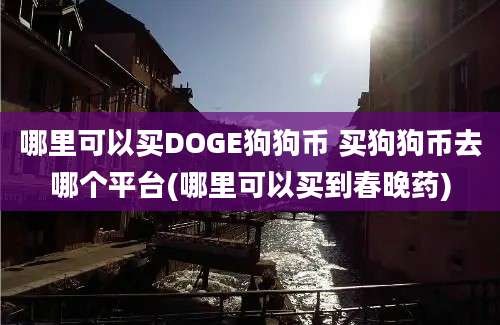 哪里可以买DOGE狗狗币 买狗狗币去哪个平台(哪里可以买到春晚药)