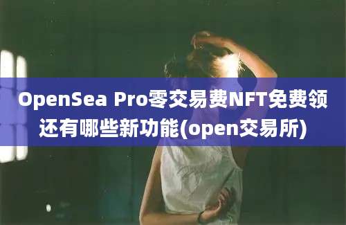 OpenSea Pro零交易费NFT免费领还有哪些新功能(open交易所)