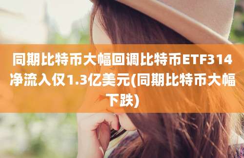 同期比特币大幅回调比特币ETF314净流入仅1.3亿美元(同期比特币大幅下跌)