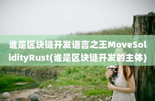 谁是区块链开发语言之王MoveSolidityRust(谁是区块链开发的主体)