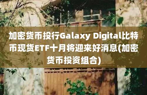 加密货币投行Galaxy Digital比特币现货ETF十月将迎来好消息(加密货币投资组合)