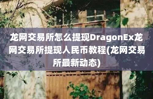 龙网交易所怎么提现DragonEx龙网交易所提现人民币教程(龙网交易所最新动态)