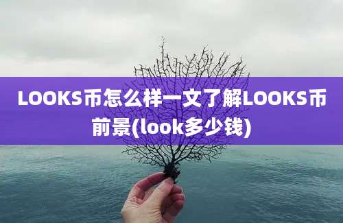 LOOKS币怎么样一文了解LOOKS币前景(look多少钱)