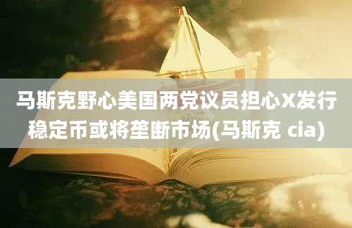 马斯克野心美国两党议员担心X发行稳定币或将垄断市场(马斯克 cia)