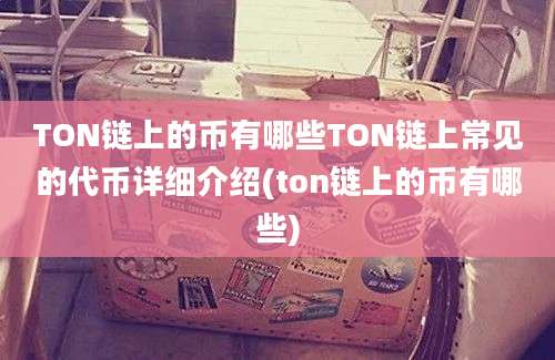 TON链上的币有哪些TON链上常见的代币详细介绍(ton链上的币有哪些)