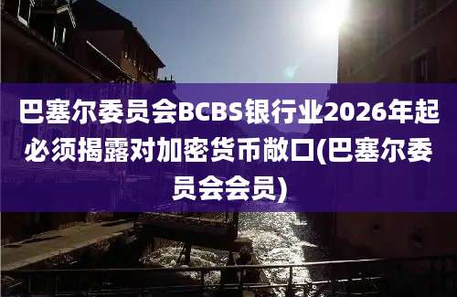 巴塞尔委员会BCBS银行业2026年起必须揭露对加密货币敞口(巴塞尔委员会会员)