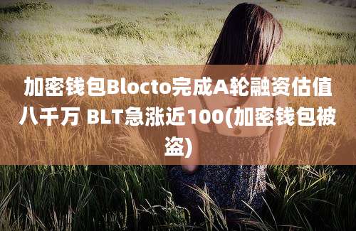 加密钱包Blocto完成A轮融资估值八千万 BLT急涨近100(加密钱包被盗)