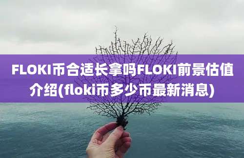 FLOKI币合适长拿吗FLOKI前景估值介绍(floki币多少币最新消息)