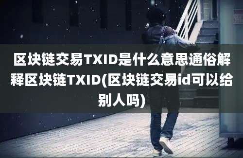 区块链交易TXID是什么意思通俗解释区块链TXID(区块链交易id可以给别人吗)