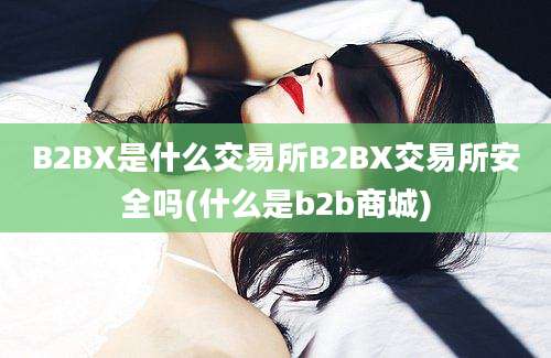 B2BX是什么交易所B2BX交易所安全吗(什么是b2b商城)