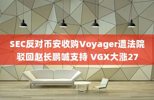 SEC反对币安收购Voyager遭法院驳回赵长鹏喊支持 VGX大涨27