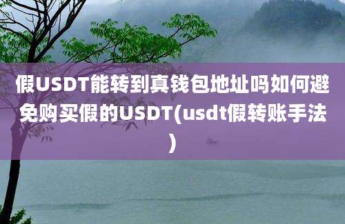 假USDT能转到真钱包地址吗如何避免购买假的USDT(usdt假转账手法)