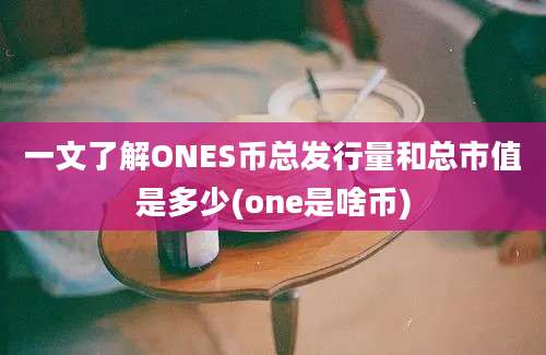 一文了解ONES币总发行量和总市值是多少(one是啥币)