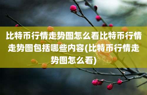 比特币行情走势图怎么看比特币行情走势图包括哪些内容(比特币行情走势图怎么看)