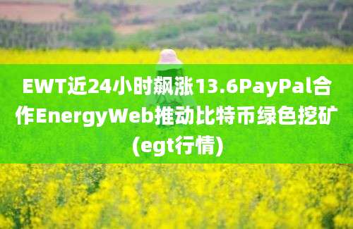 EWT近24小时飙涨13.6PayPal合作EnergyWeb推动比特币绿色挖矿(egt行情)