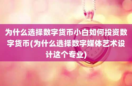 为什么选择数字货币小白如何投资数字货币(为什么选择数字媒体艺术设计这个专业)