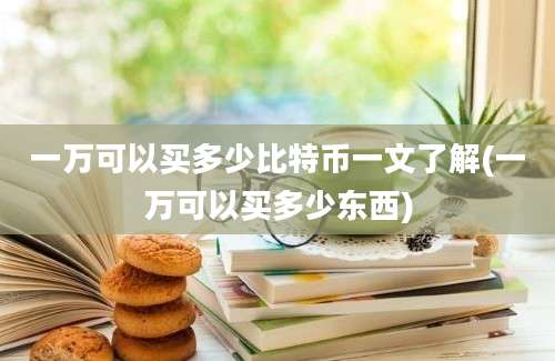 一万可以买多少比特币一文了解(一万可以买多少东西)