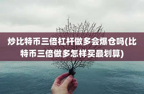 炒比特币三倍杠杆做多会爆仓吗(比特币三倍做多怎样买最划算)