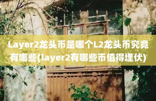 Layer2龙头币是哪个L2龙头币究竟有哪些(layer2有哪些币值得埋伏)