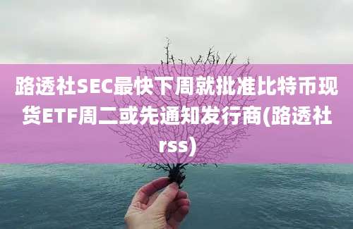 路透社SEC最快下周就批准比特币现货ETF周二或先通知发行商(路透社rss)