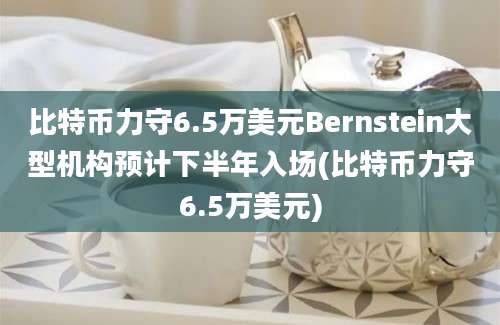 比特币力守6.5万美元Bernstein大型机构预计下半年入场(比特币力守6.5万美元)