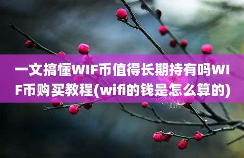 一文搞懂WIF币值得长期持有吗WIF币购买教程(wifi的钱是怎么算的)