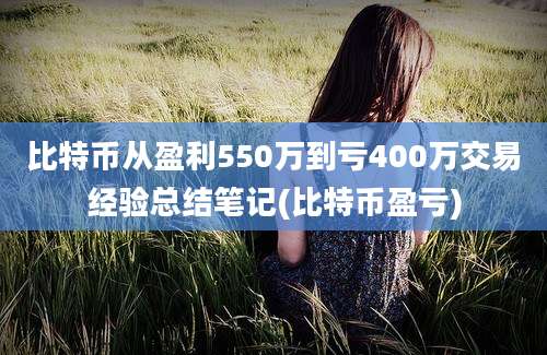 比特币从盈利550万到亏400万交易经验总结笔记(比特币盈亏)