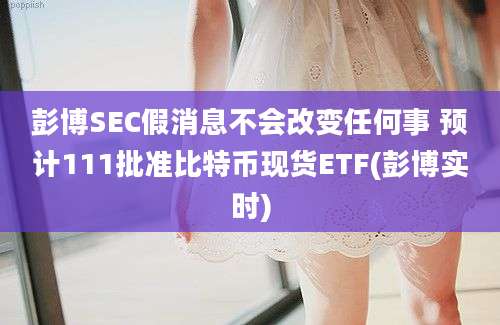 彭博SEC假消息不会改变任何事 预计111批准比特币现货ETF(彭博实时)